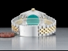 Rolex Datejust 36 Champagne Jubilee Crissy Dial 16233 